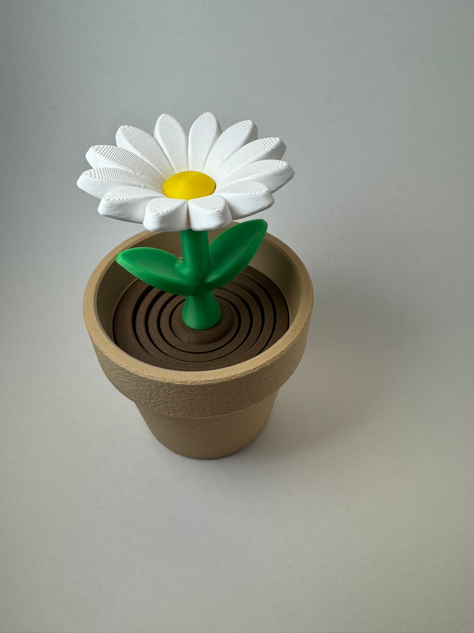 Daisey Fidget