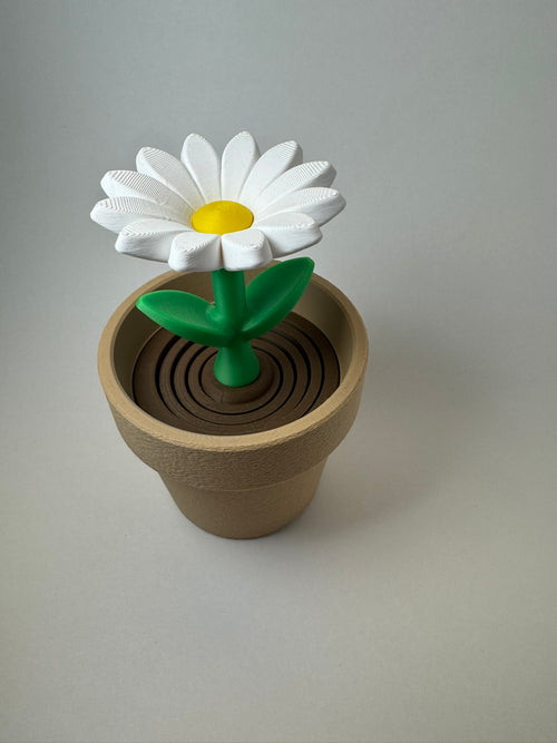 Daisey Fidget
