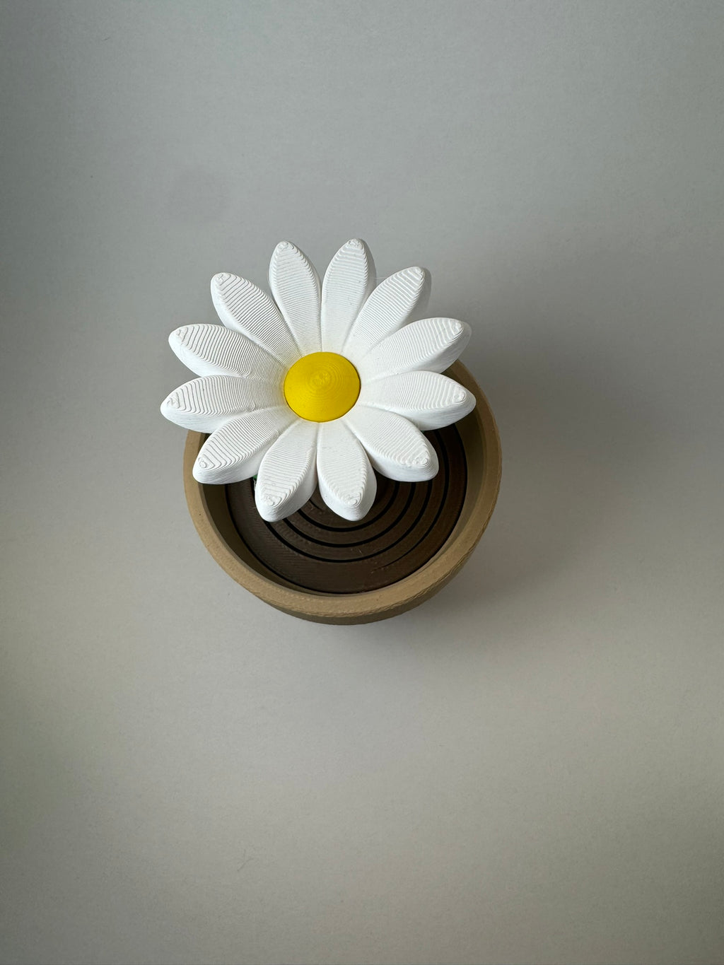 Daisey Fidget