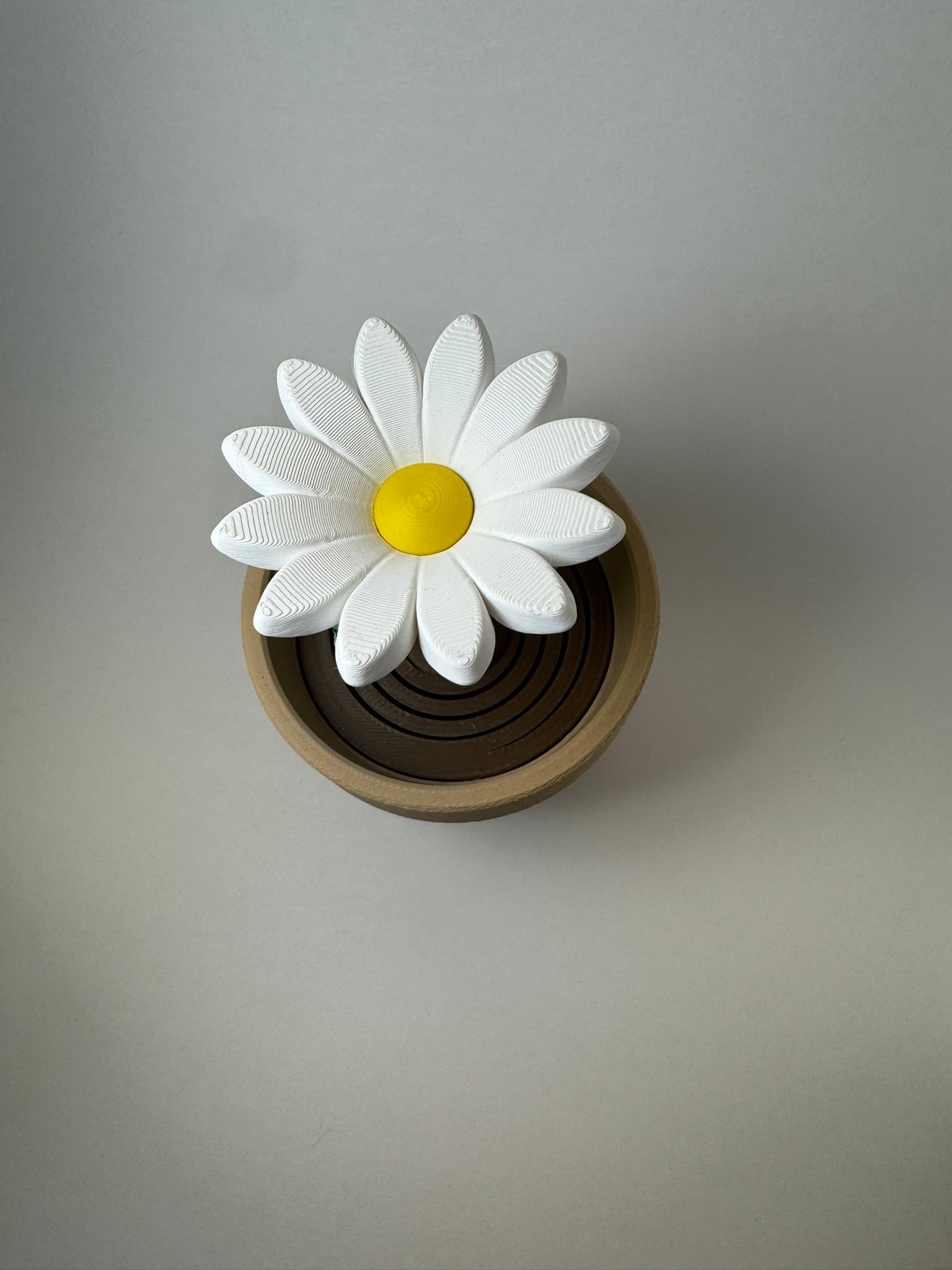 Daisey Fidget