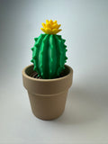 Cactus Fidget