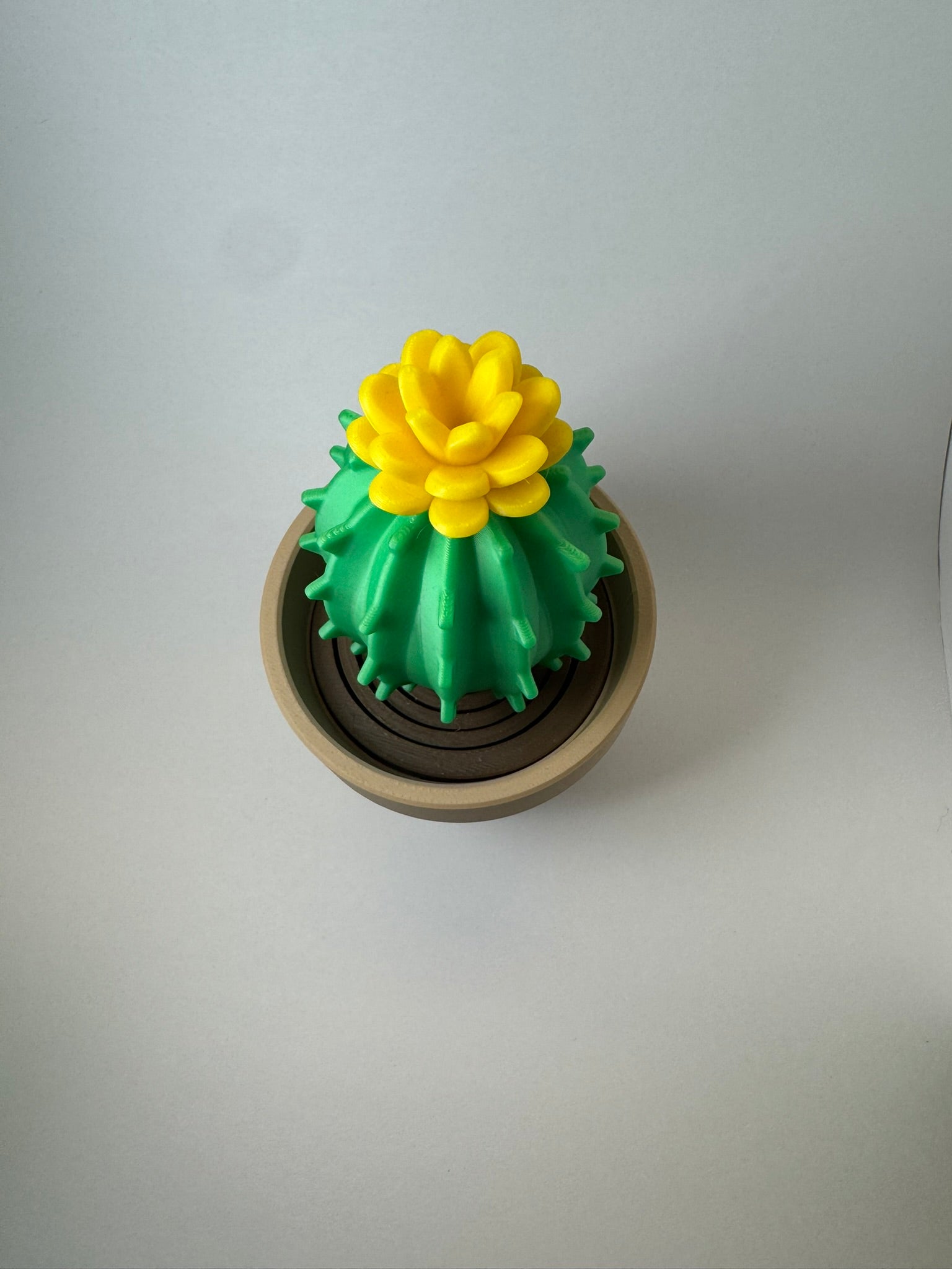 Cactus Fidget