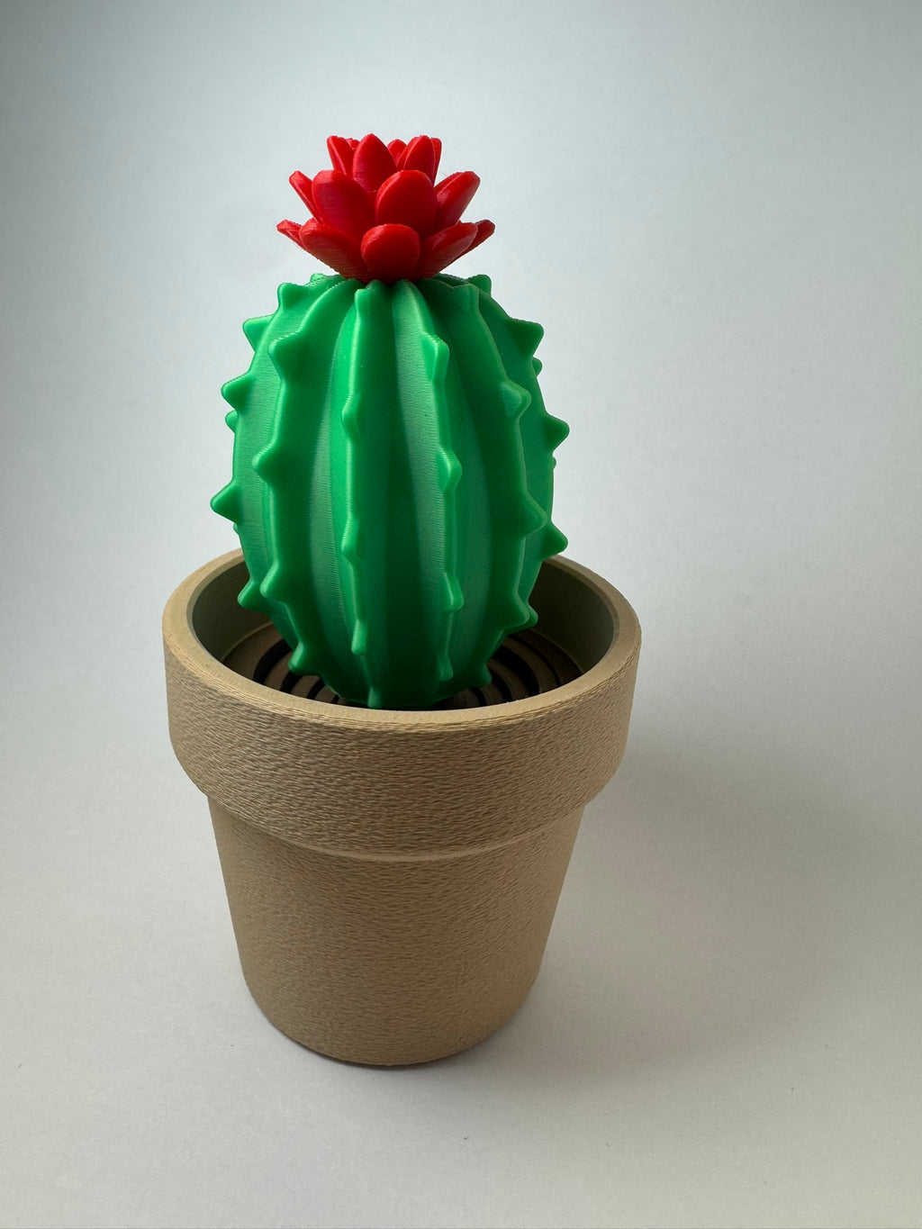 Cactus Fidget