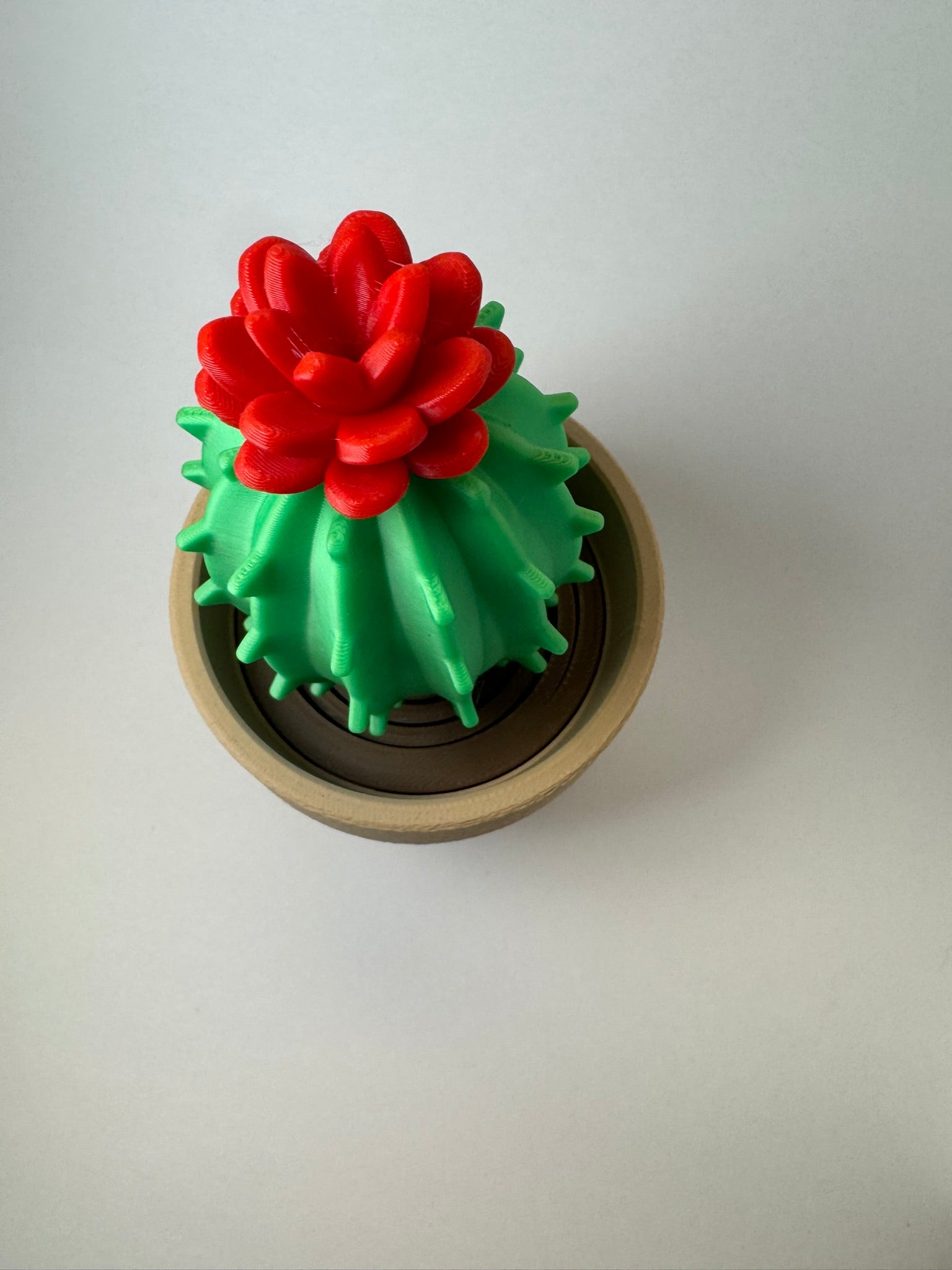 Cactus Fidget